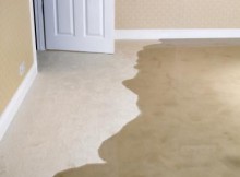 wet carpet