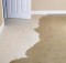 wet carpet